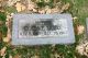 Headstone, Clara Hucke, Kansas City